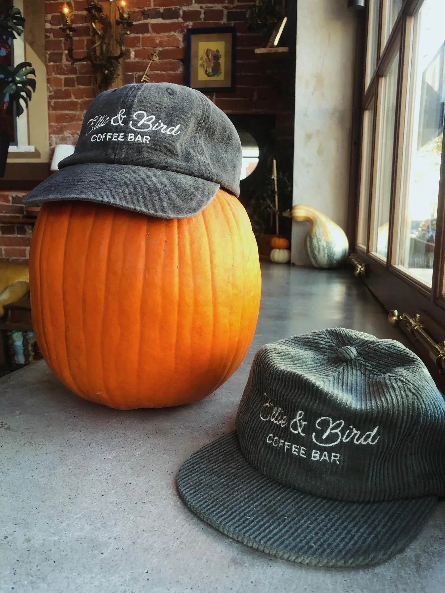 We got hats! Keep your head warm with one of our fun new hats from our pals at @weldmfg 🧢 #newmerch #ellieandbirdcoffeebar #phillycoffee #gobirds