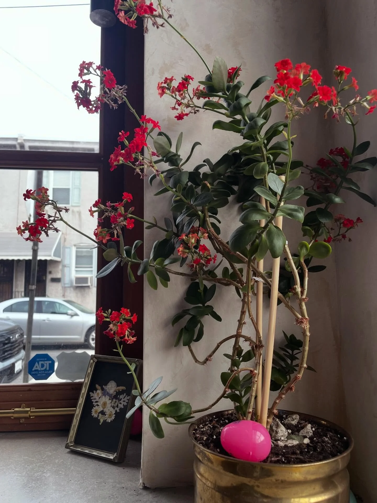 Our annual Easter Egg Hunt is underway! 🐰 it's chill. Let the kids have em. Take one. There's a bucket of candy for everyone 😉