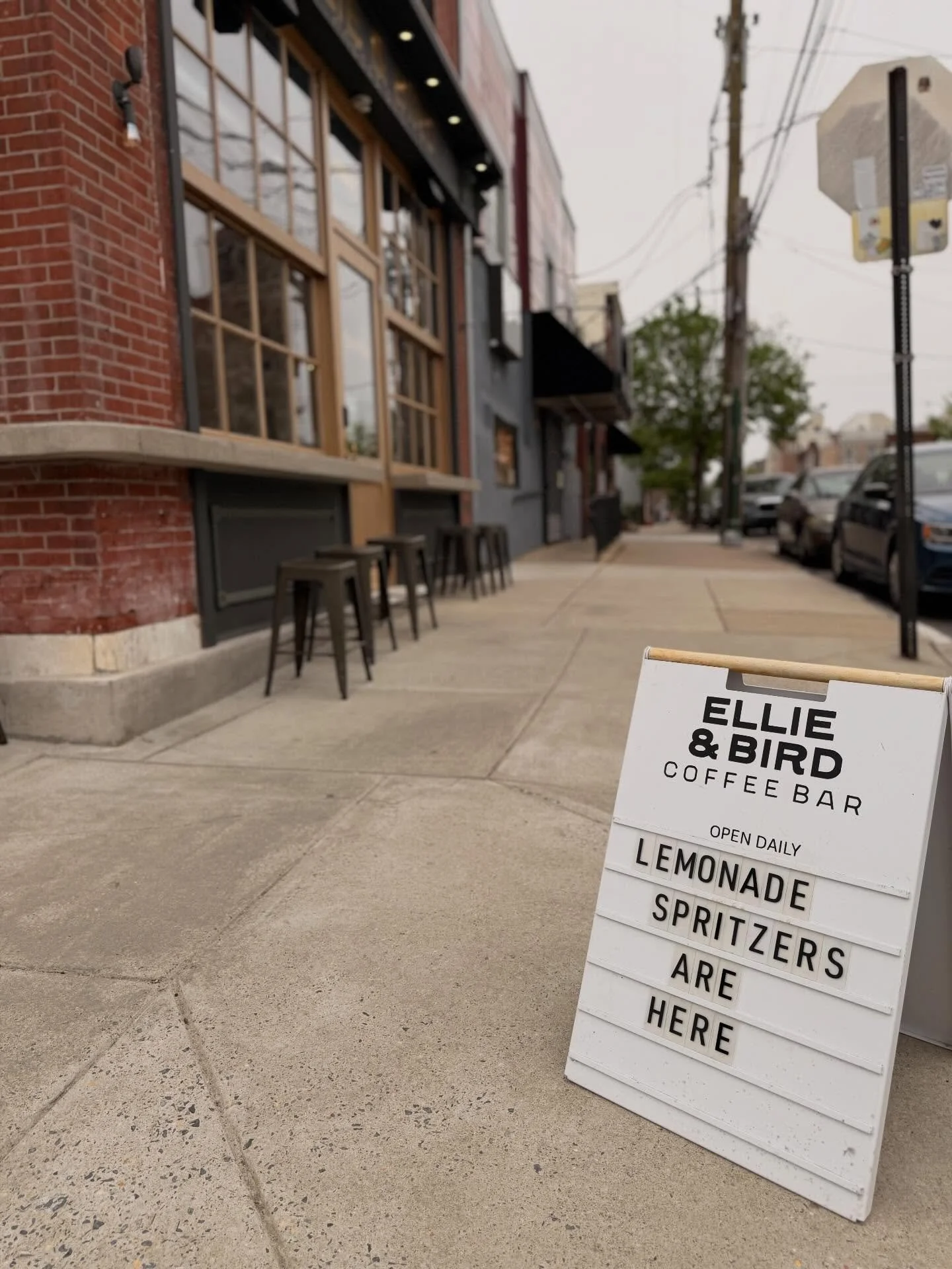 Adding another lemonade spritzer to the menu! COLIBR&Iacute; LEMONADE SPRITZER !! House made tulsi basil and rose water cordial with lemonade and topped with club soda. Floral and not too sweet. 🦢 🌹 🍋