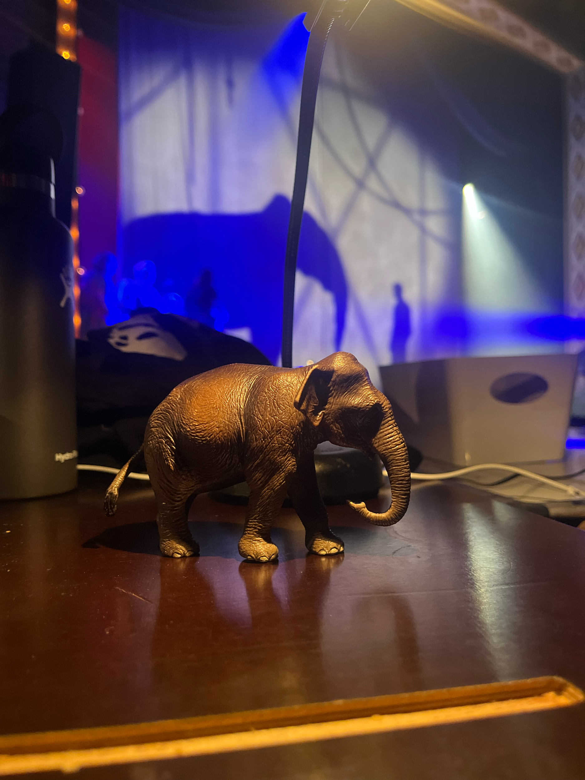 Broadway's Water for Elephants (Puppet Direction by Joshua Holden)