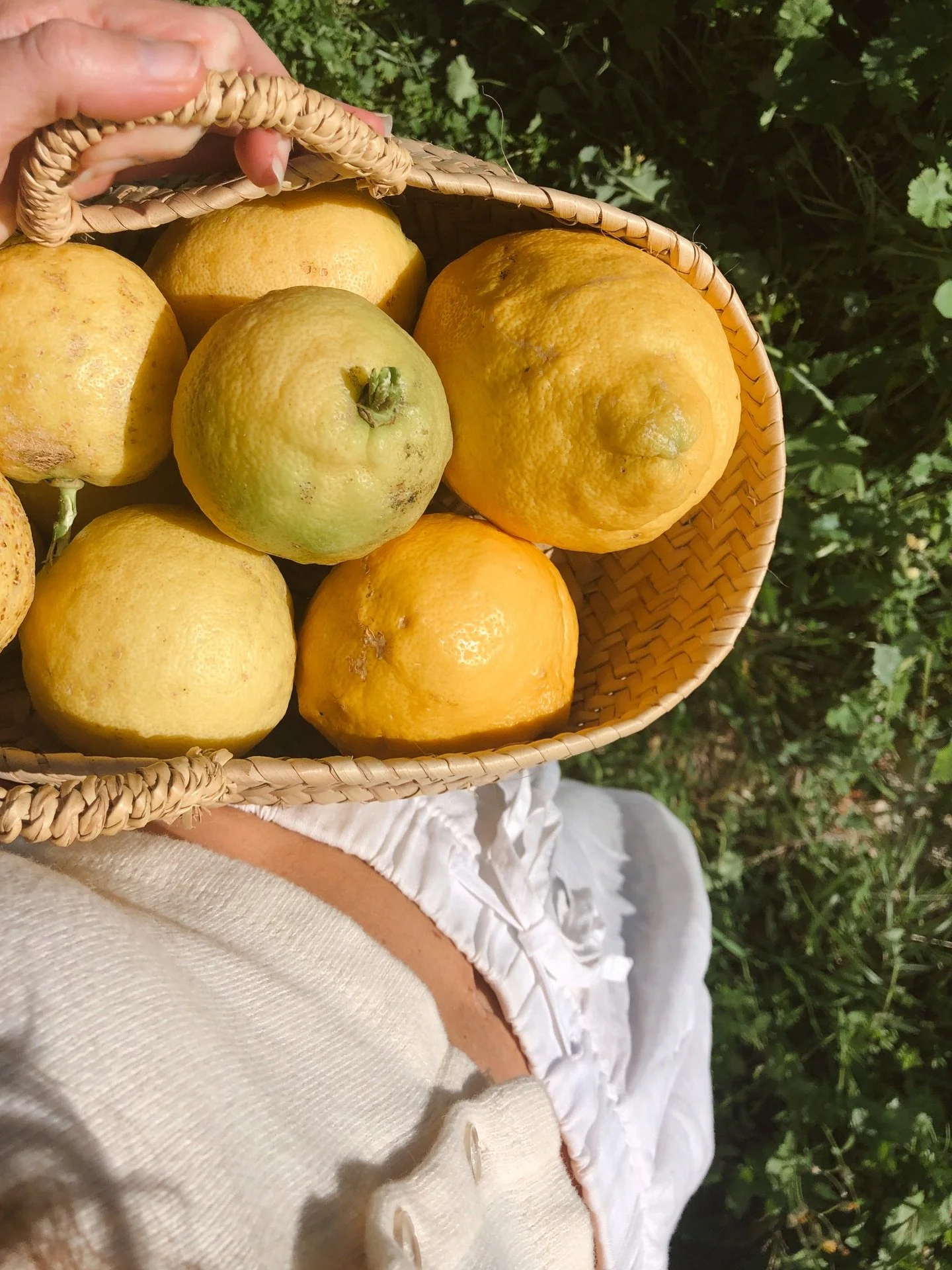 The wisdom of non-interference 𓇳

As I get older, 
I feel the uncomfortable yet deeply liberating maturity that comes from practicing non-interference 

A decades long learning for me

Coming to recognize the power leak from every micro moment of un