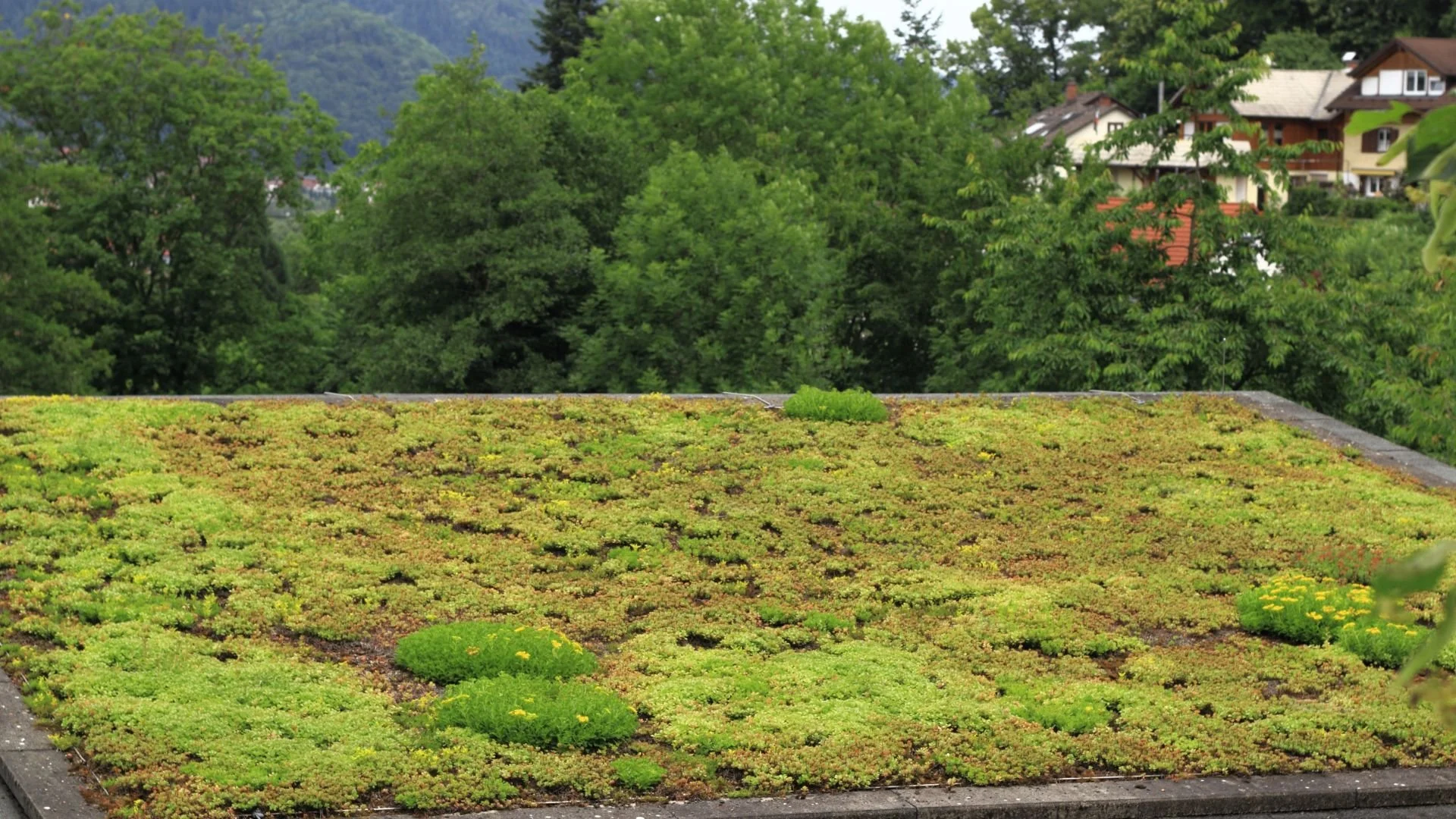 benefits of green roofs