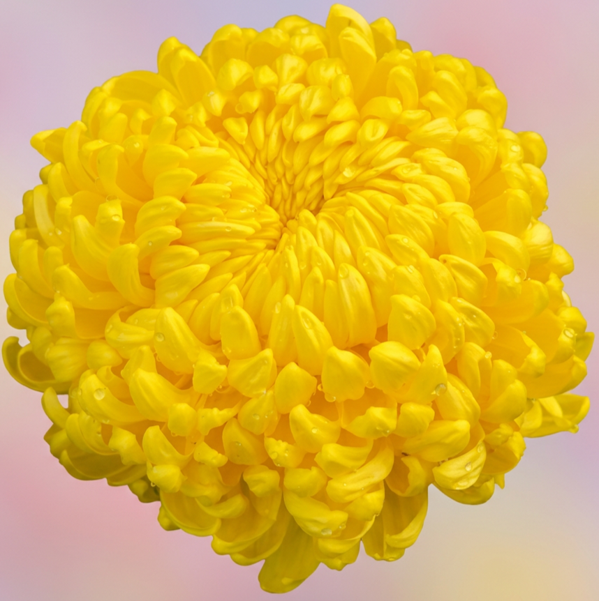 imgg-41l-ru8u3i24.png