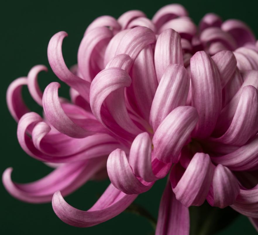 imgg-uui-4b06a39z.png