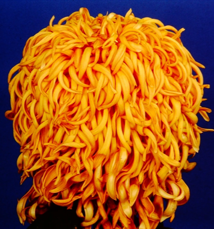 CE306D6E-8B59-4A71-AF9C-0C2A1A14189D.png