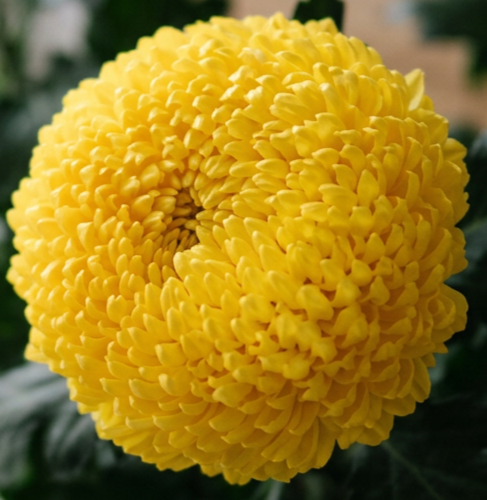 imgg-613-94b7r3c0.png