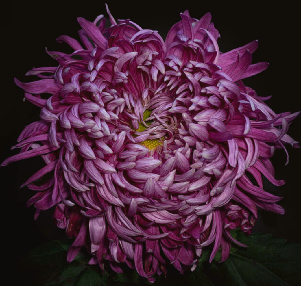 77C1F373-144D-439C-98DF-3D32C3F40857.png