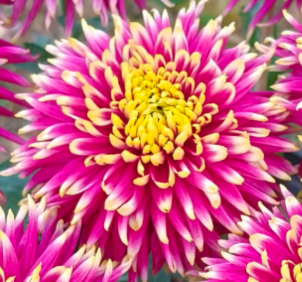 5F87B192-3C77-4B2C-84C4-368E2003C3F4.png
