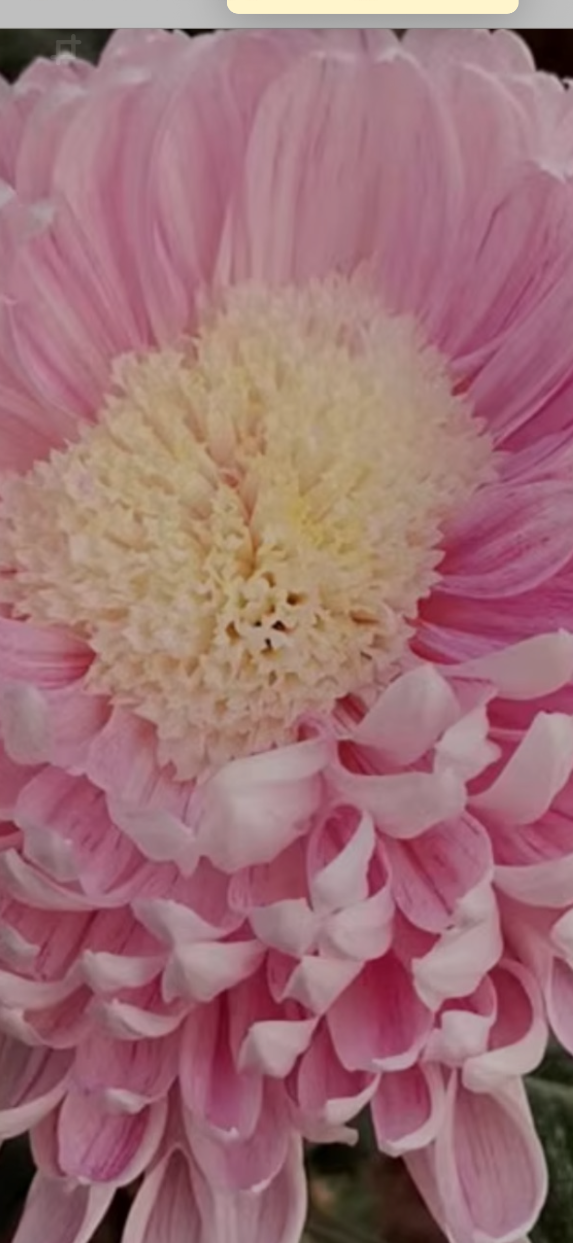 36B5165F-30CC-4D99-A85B-55BBEB745797.png