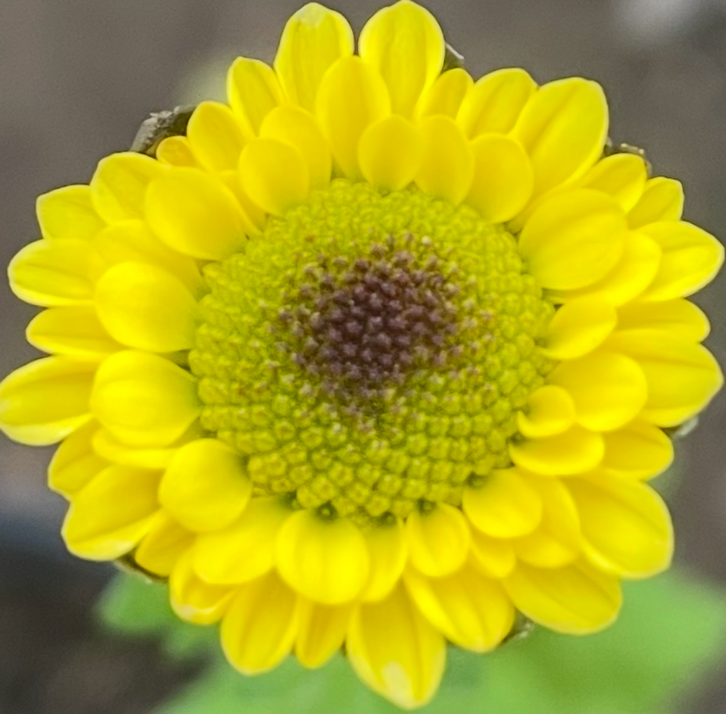 A273959F-E2AF-4A62-9B6E-71ECBE8D64DE.png