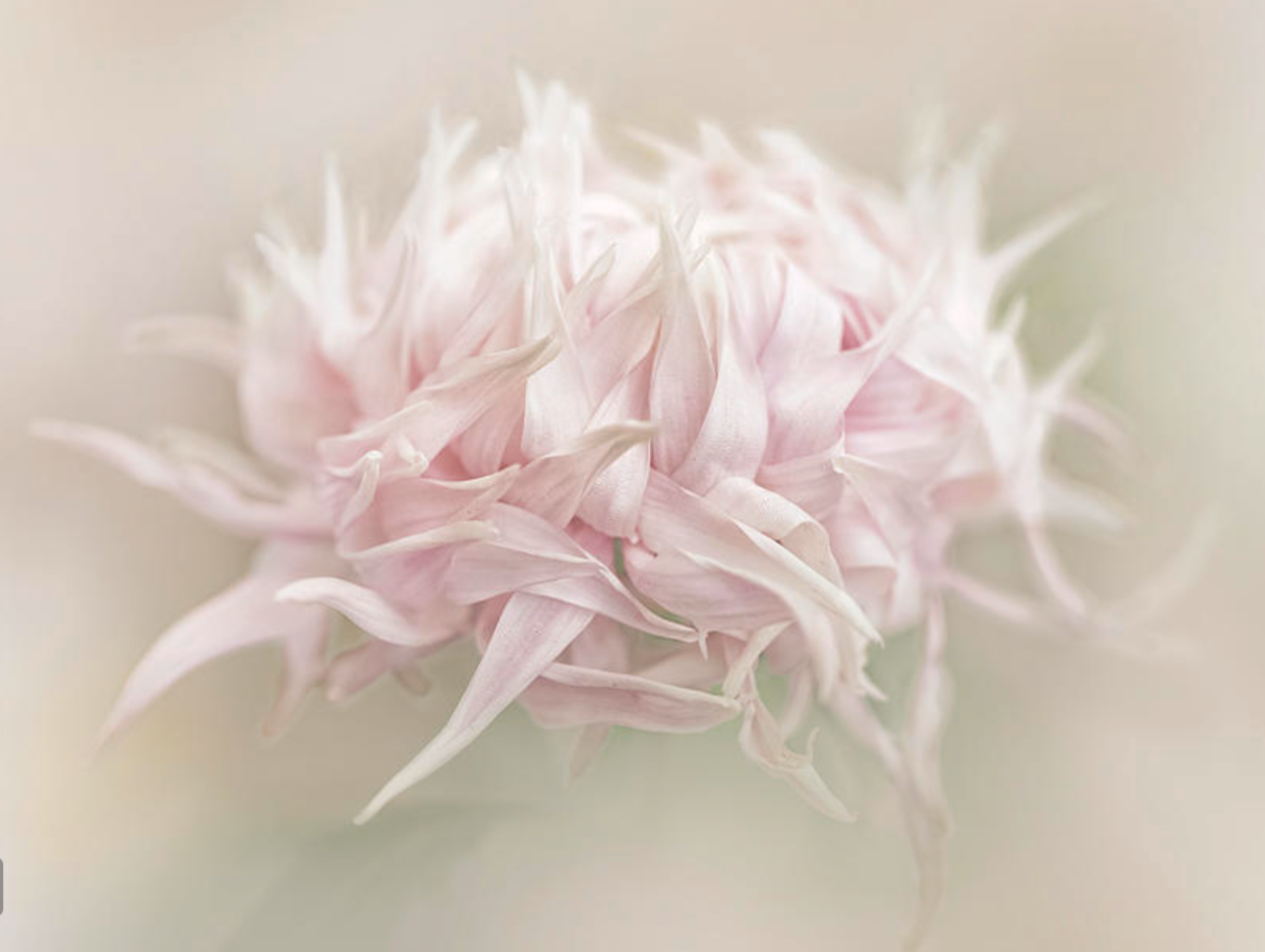 C80B9AC1-B0FC-49EA-89DF-182931AAB688.png