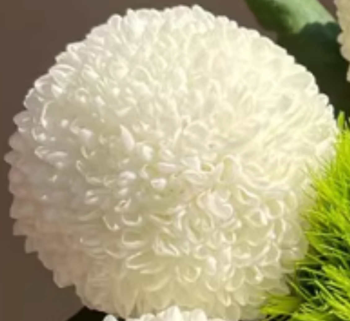 0A819D11-8AA2-4CC8-A835-181A7DD8D2D9.png