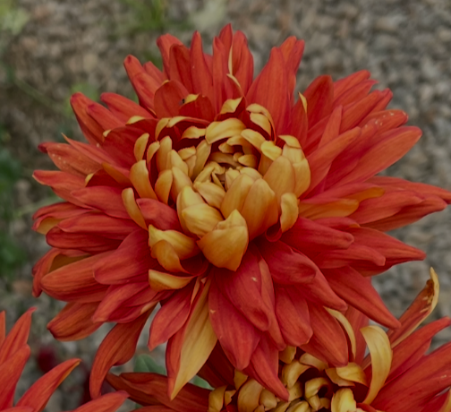 5B   Balcombe Perfection