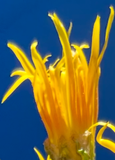 AB8722ED-C2AD-406A-BCAC-9CE5E494647A.png
