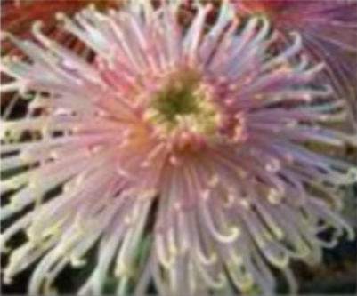 3C877027-89A0-41F9-8633-C0592A470FCE.png