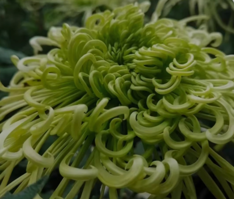 98778433-AF48-4FD6-AC55-EDBCA503D04B.png