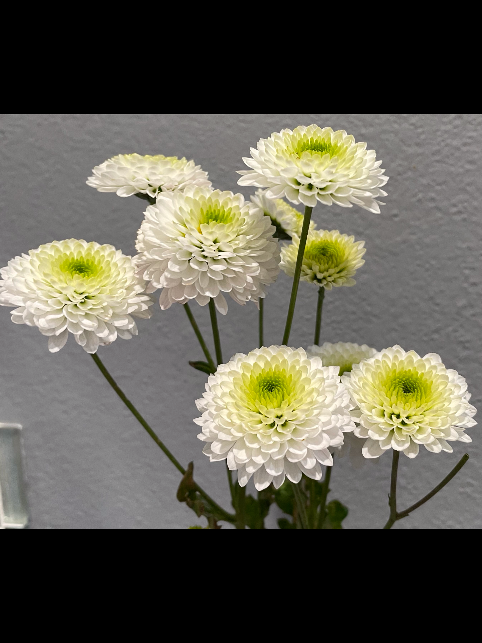 IMG_3738.png