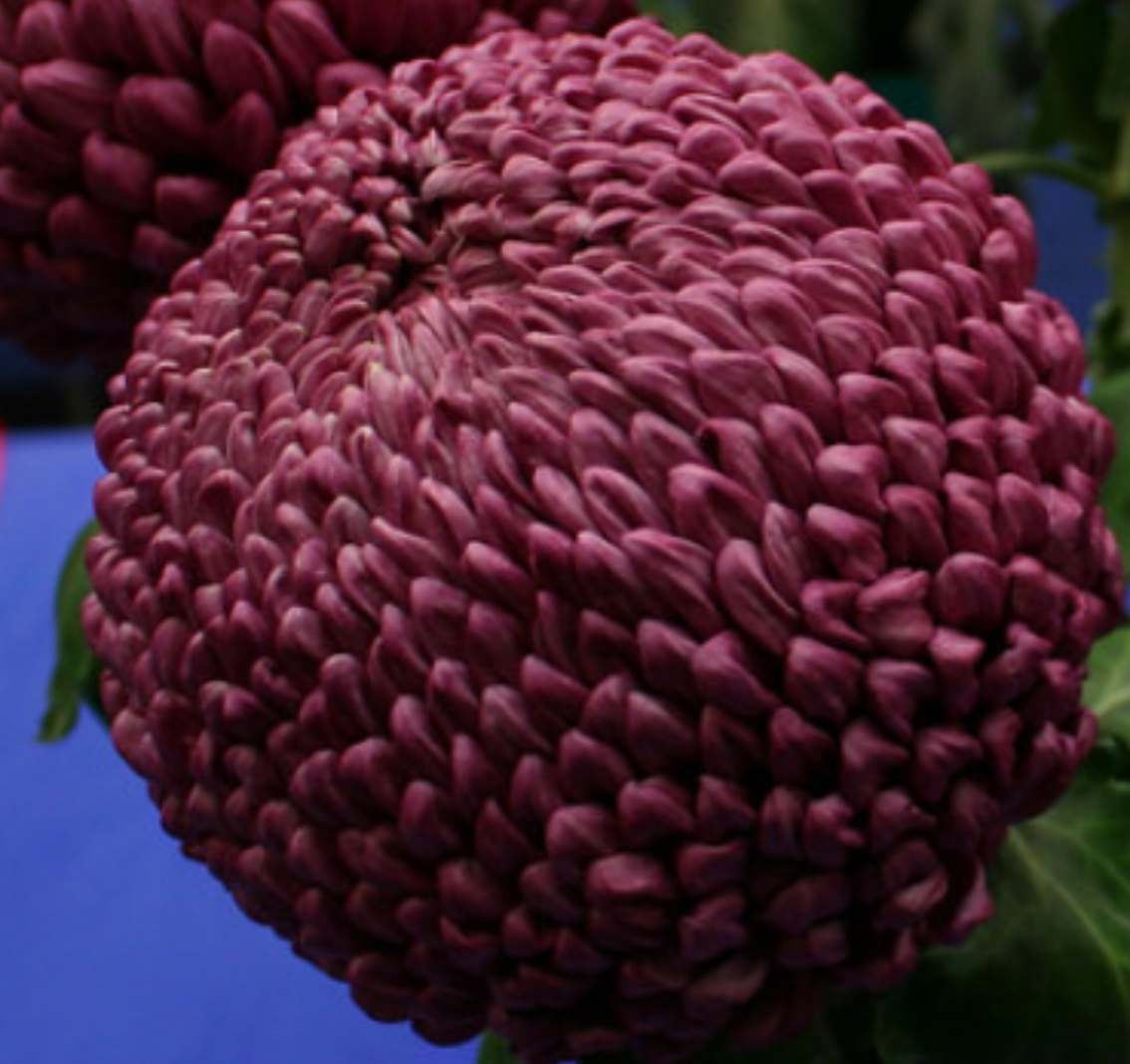 5453D23A-16EB-458C-985C-FC0603B60743.png