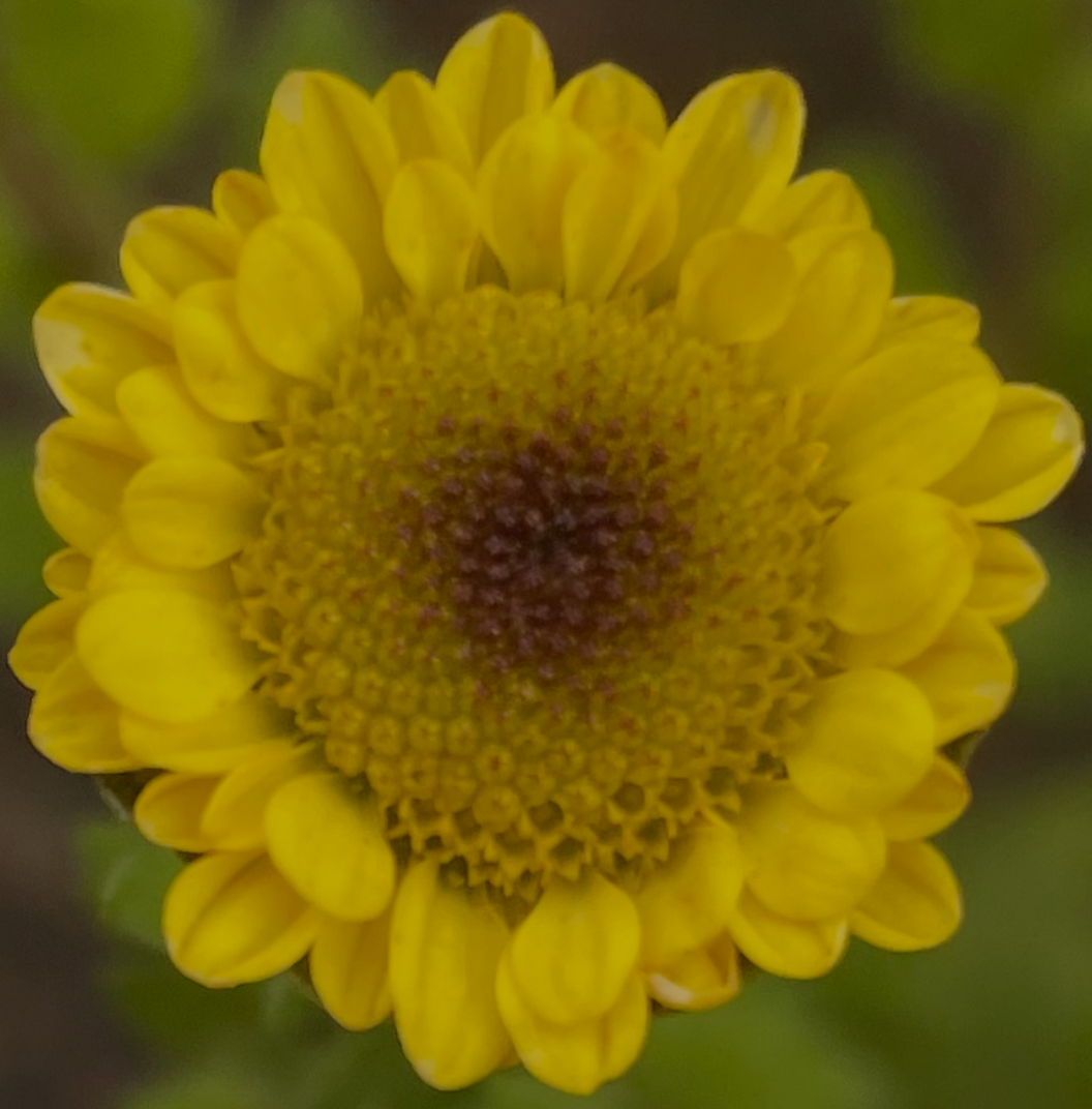 EA20D584-E0BF-4E85-A80D-D9E0D3071DC4.png