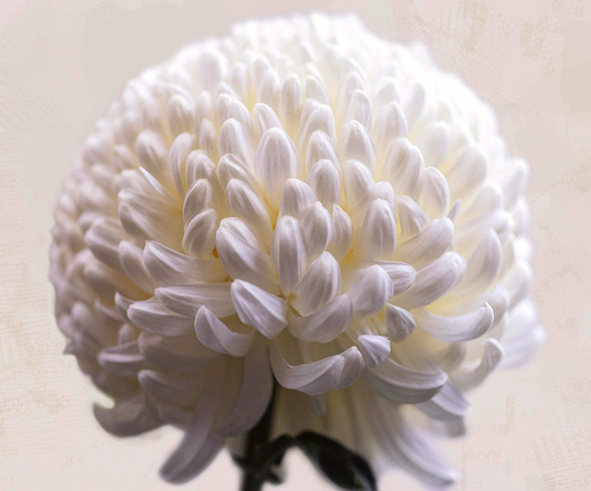 D6A8AB5B-8A1F-40E4-9380-759B7095E4B4.png