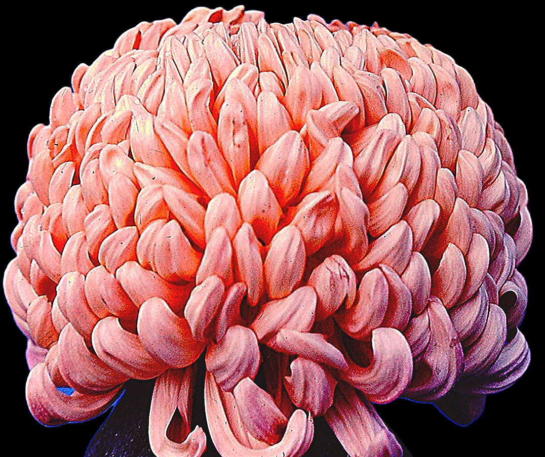 229C1E7F-92B9-4943-AE0D-74AA10DB3F98.png