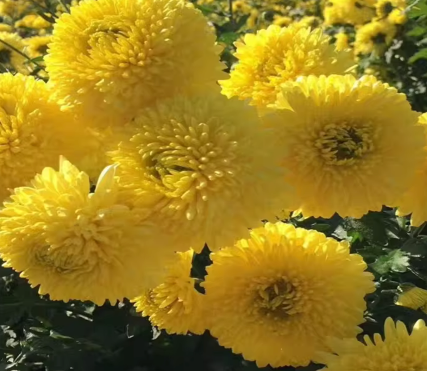BE55A93F-B750-4E7D-A7A1-3510601CEB42.png