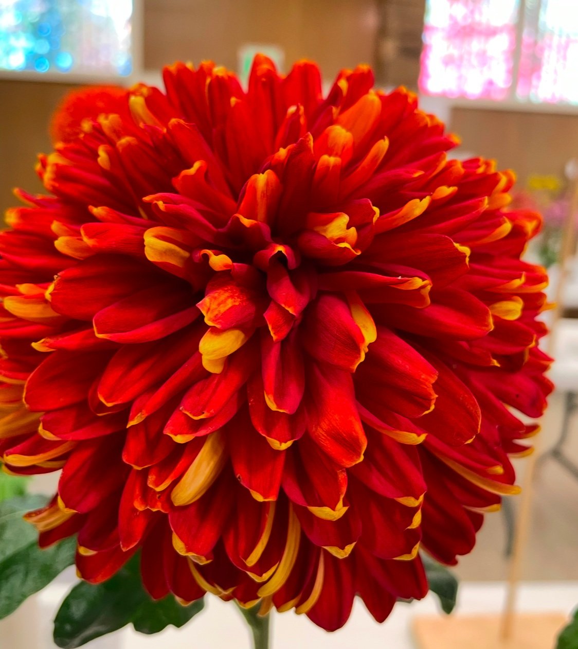 01344279-BC0B-421F-BB05-FF66E6CB1738.jpg