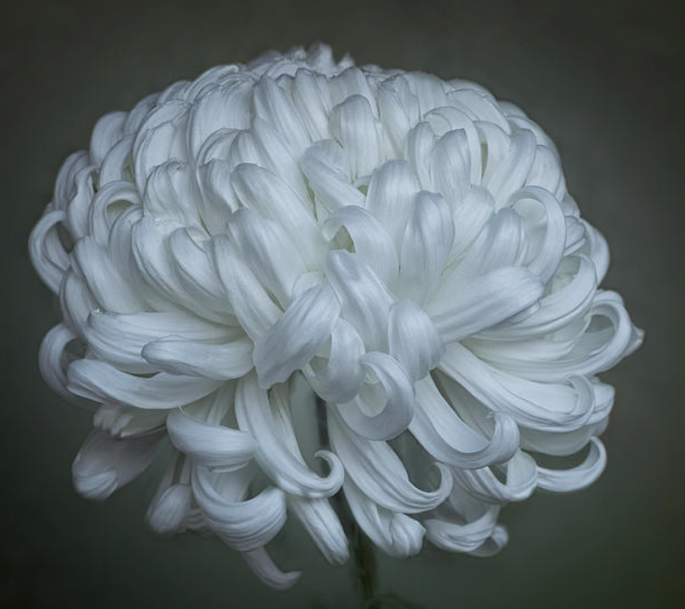 0B91555E-E3A1-47B3-93E5-34209E04EB08.png
