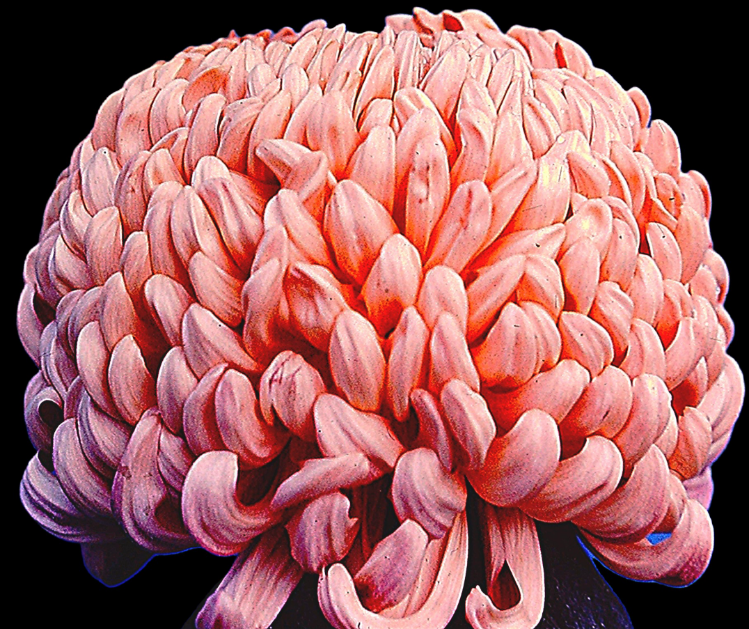 229C1E7F-92B9-4943-AE0D-74AA10DB3F98.png