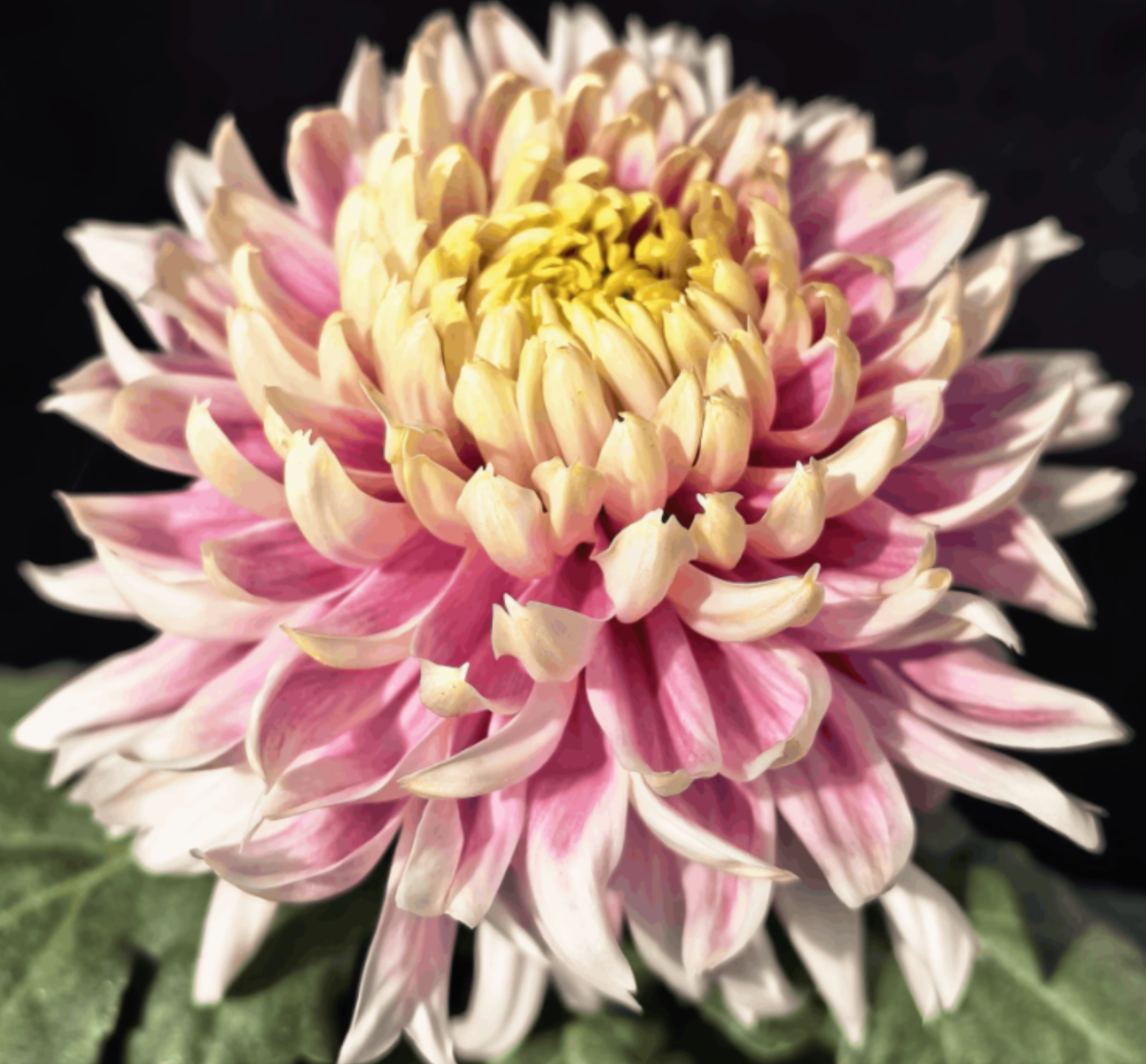 D55054B9-BE52-4FD7-9DCE-CFA26BFE445D.png