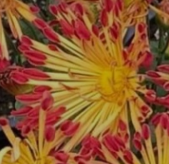 D7DC1190-44B2-4513-83BF-DE4DCC5B649B.png