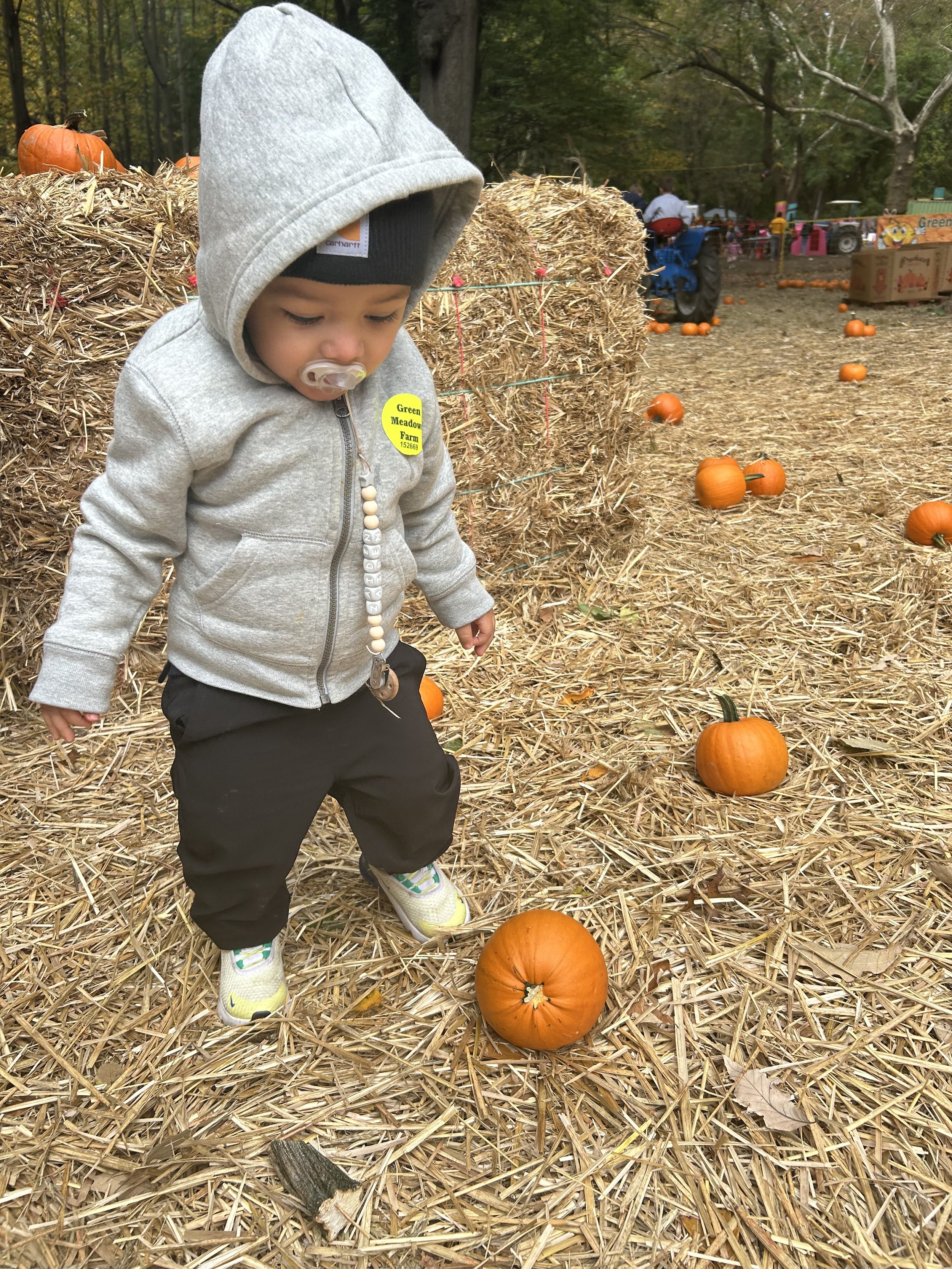 Photo Oct 20 2025, 12 58 11 PM.JPG