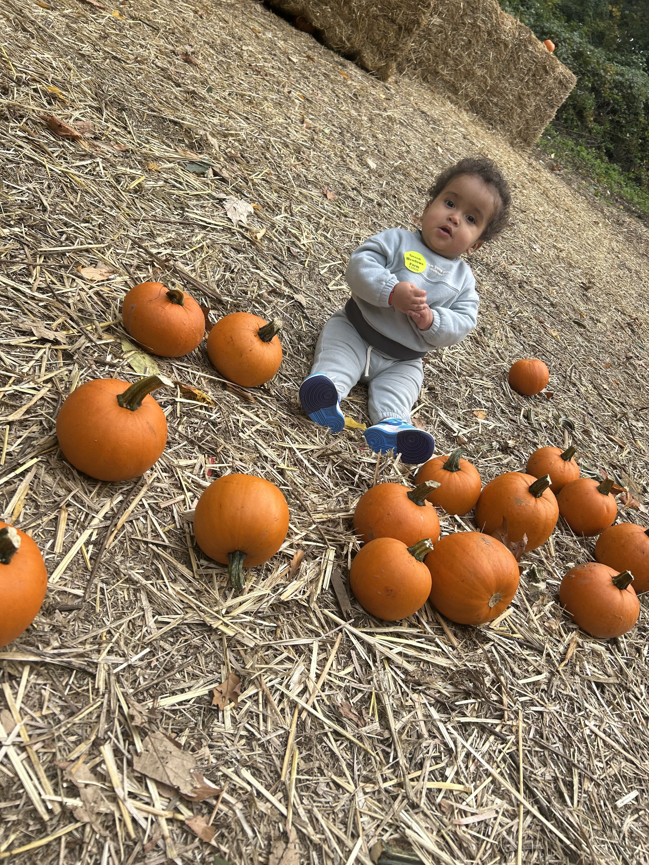 Photo Oct 20 2025, 12 58 27 PM.JPG