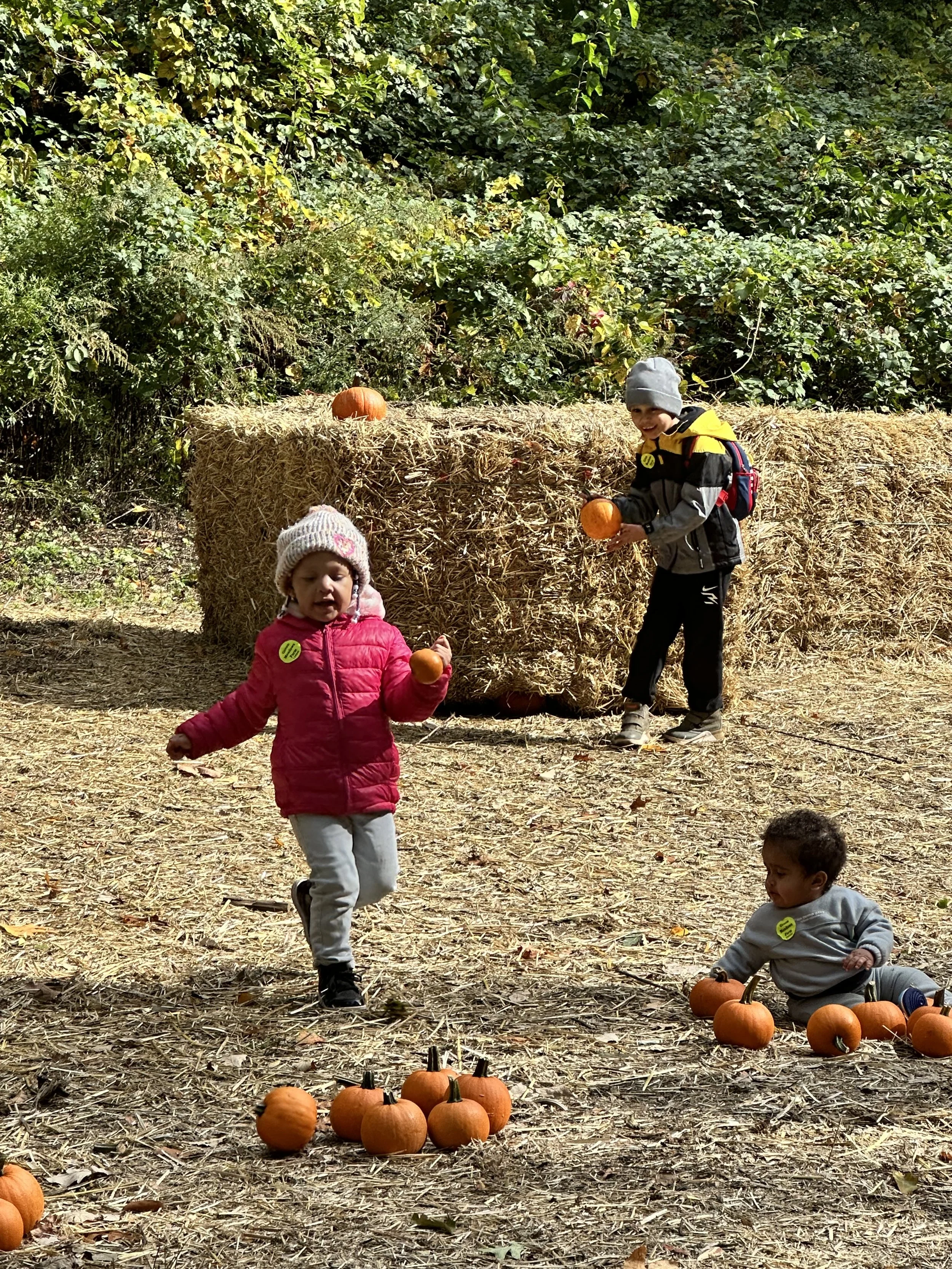 Photo Oct 20 2025, 1 01 04 PM.JPG