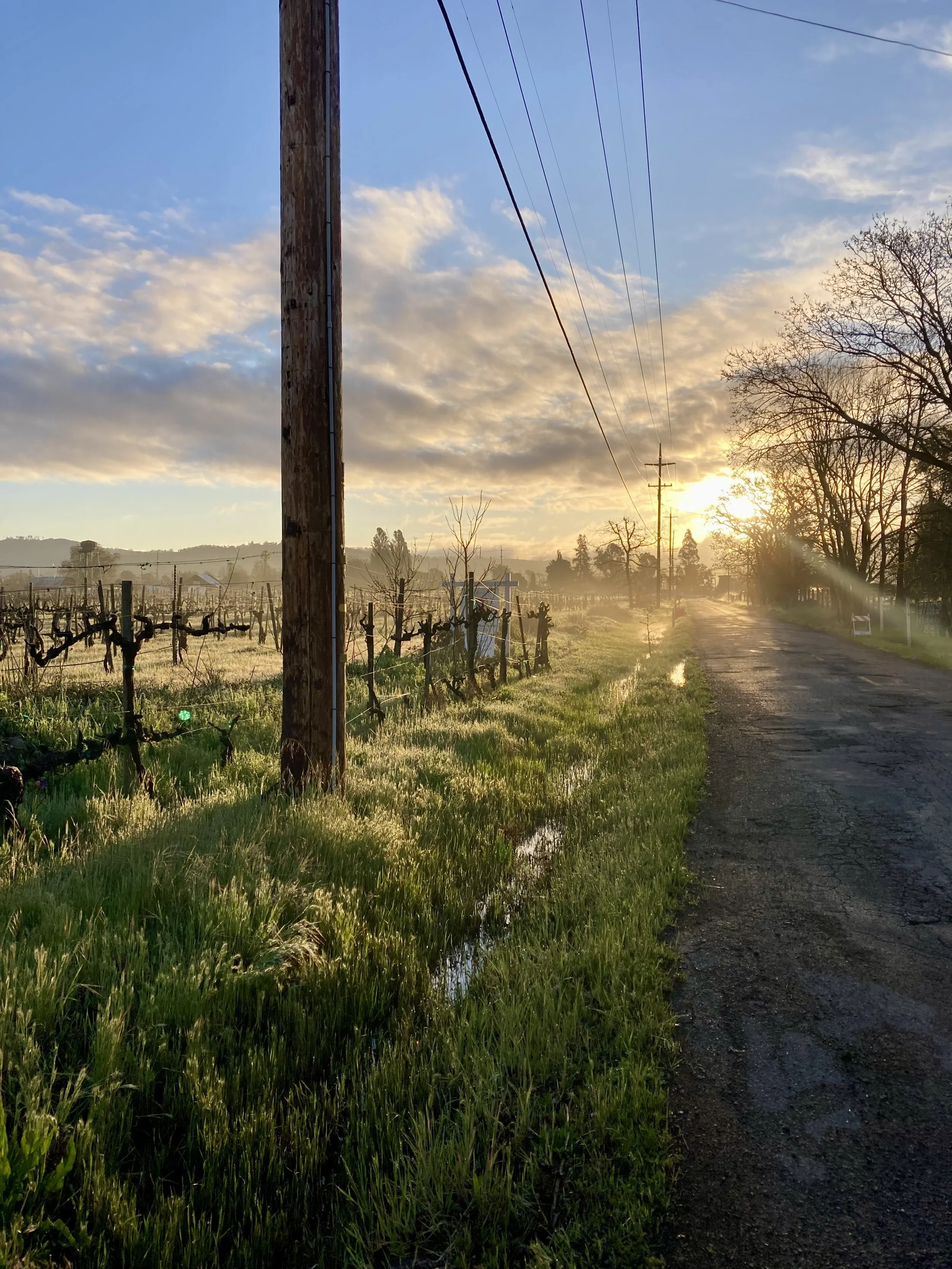 Sunrise on my pothole filled road