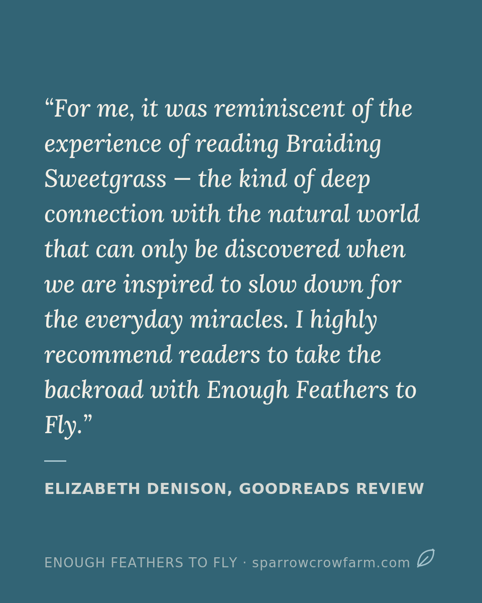 Reader Review: For me, in was reminiscent of the experience of reading Braiding Sweetgrass