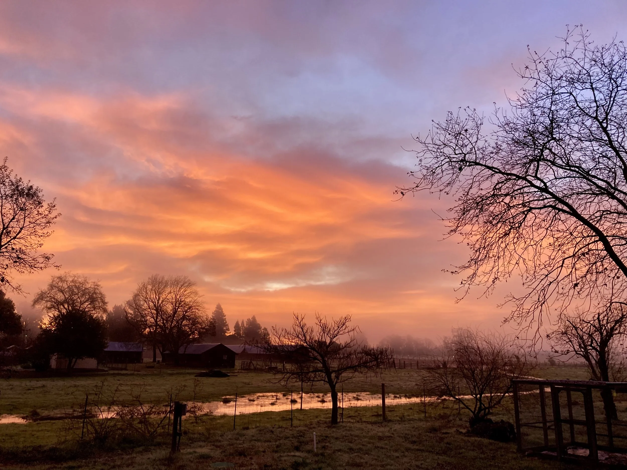Christmas sunrise