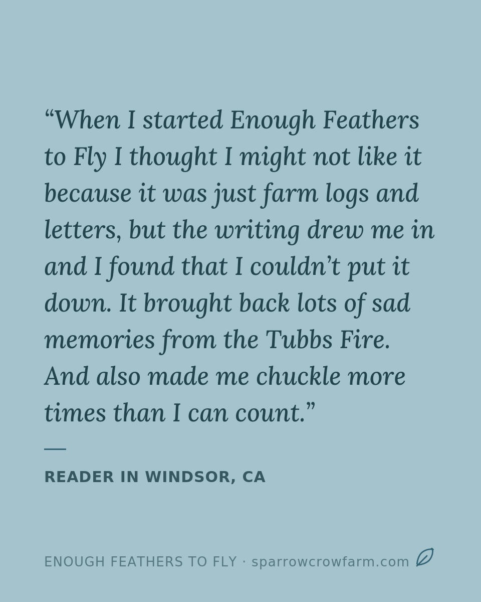 Reader review: the writing drew me in and I couldn't put it down.