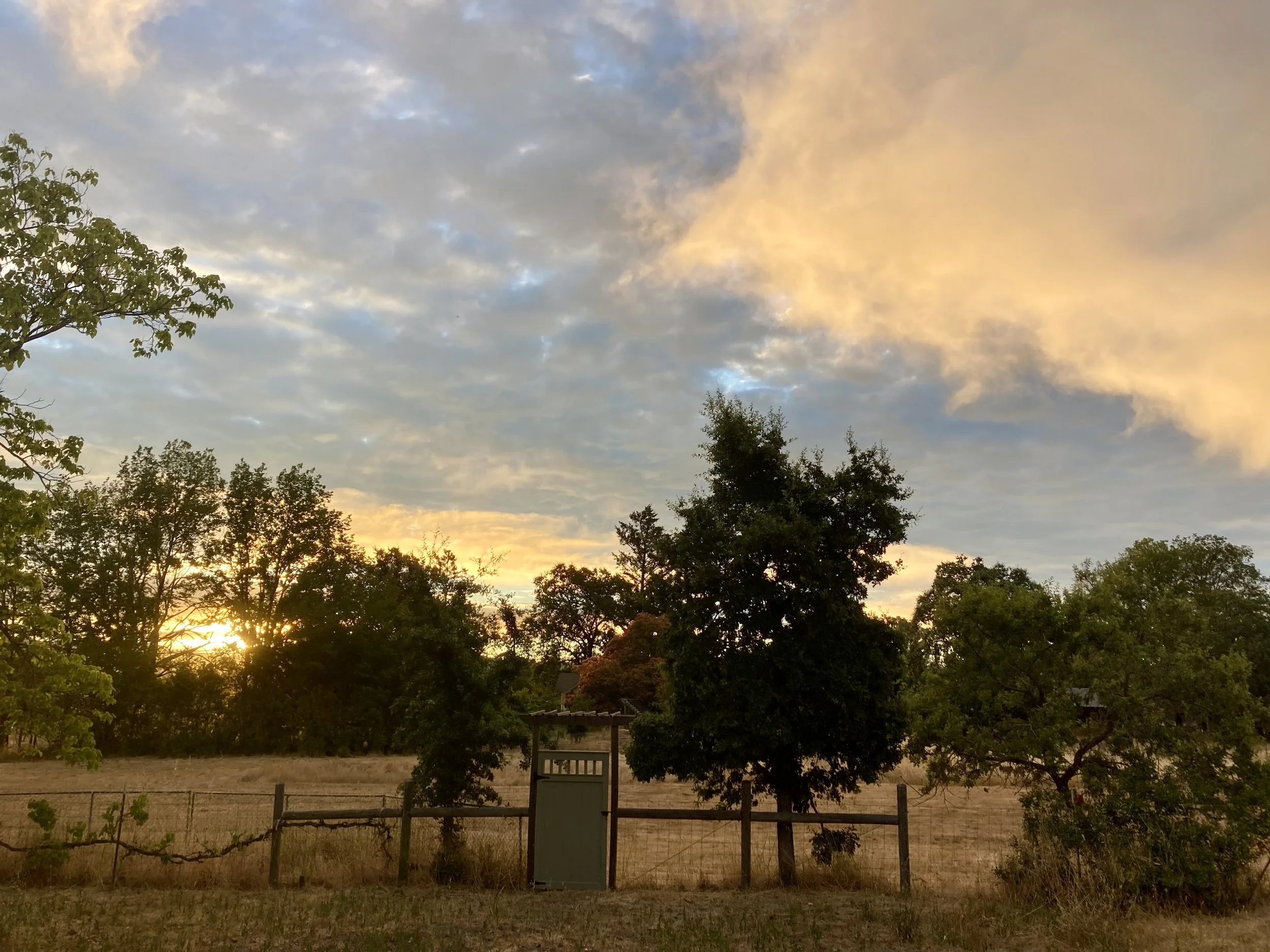 A summer morning