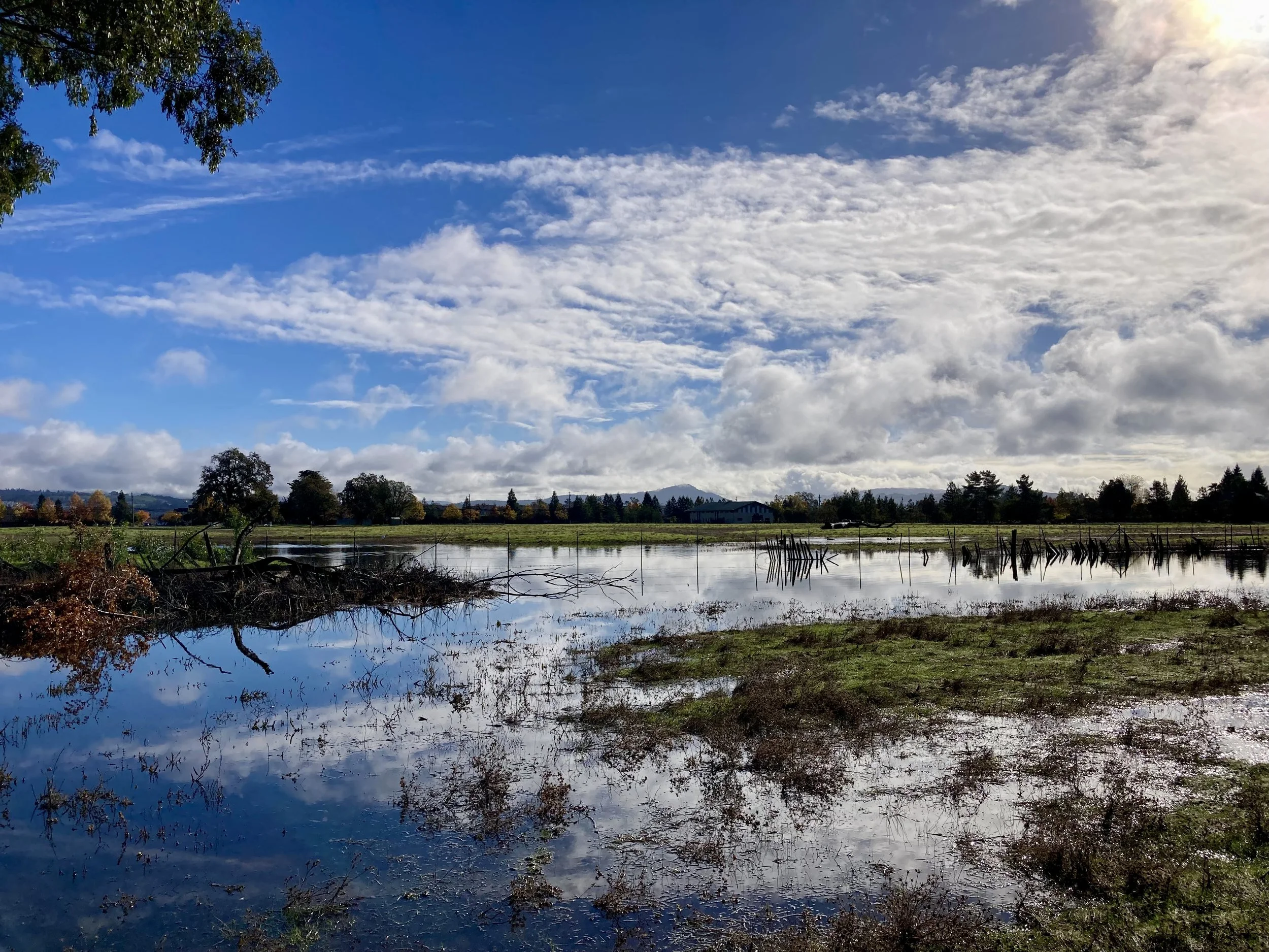 Blue cloudy sky reflected on a winter pond