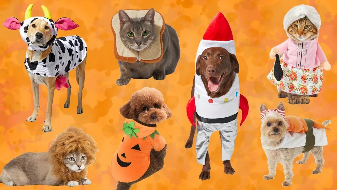 It's Halloween Week!!...