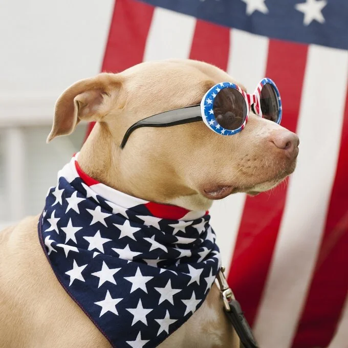 Happy Independence Day!