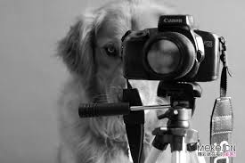 Social Media Marketing Manager