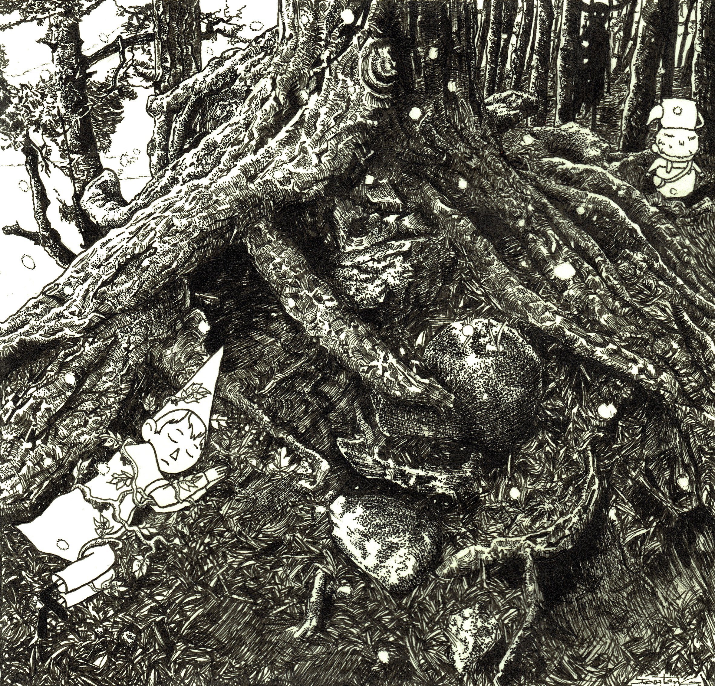 Over the garden wall