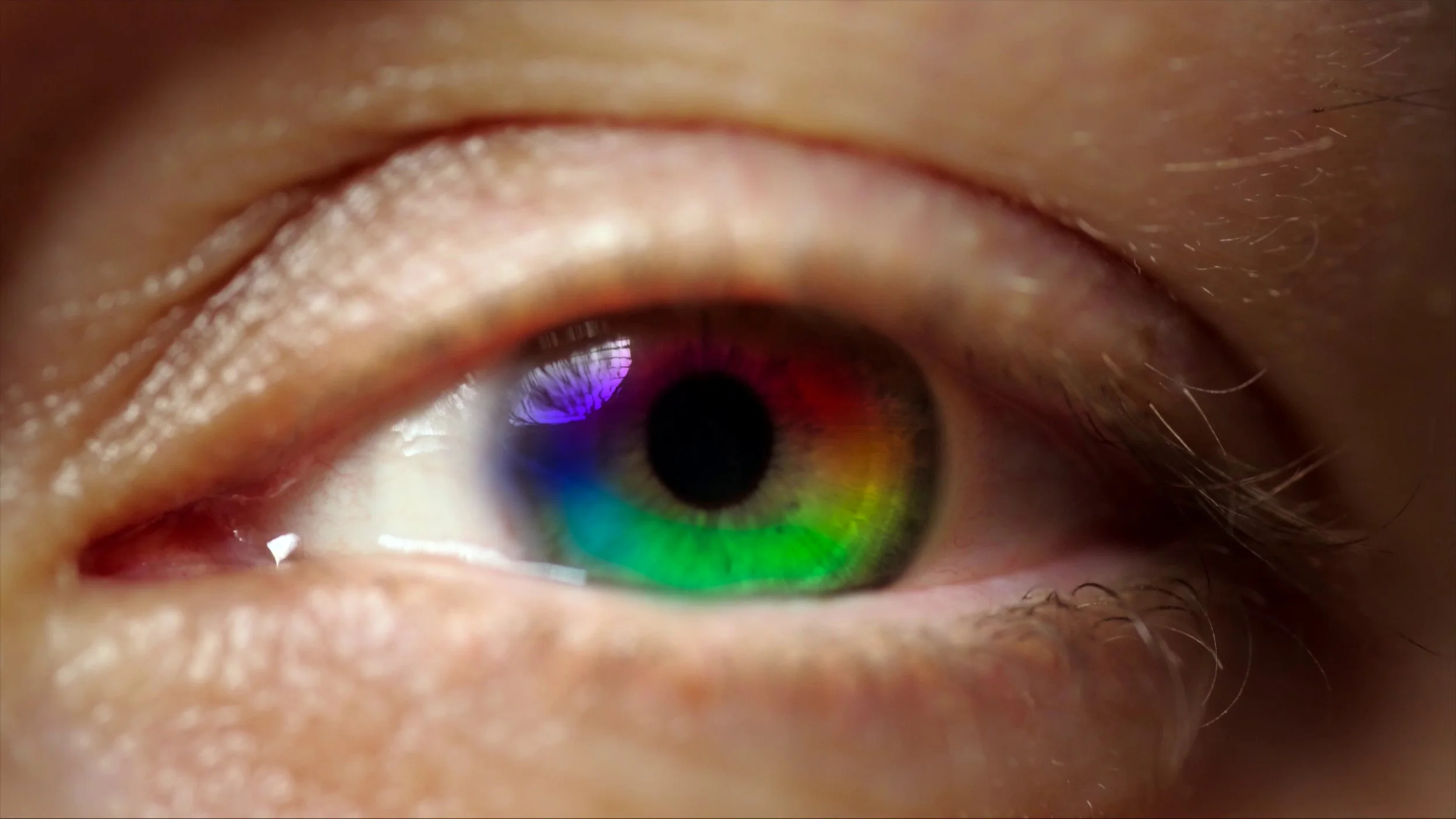 The Third Eye That Went Dark: How an Ancient Light Sensor Became the Body’s Clock, Mood Regulator, and Inner Psychedelic
