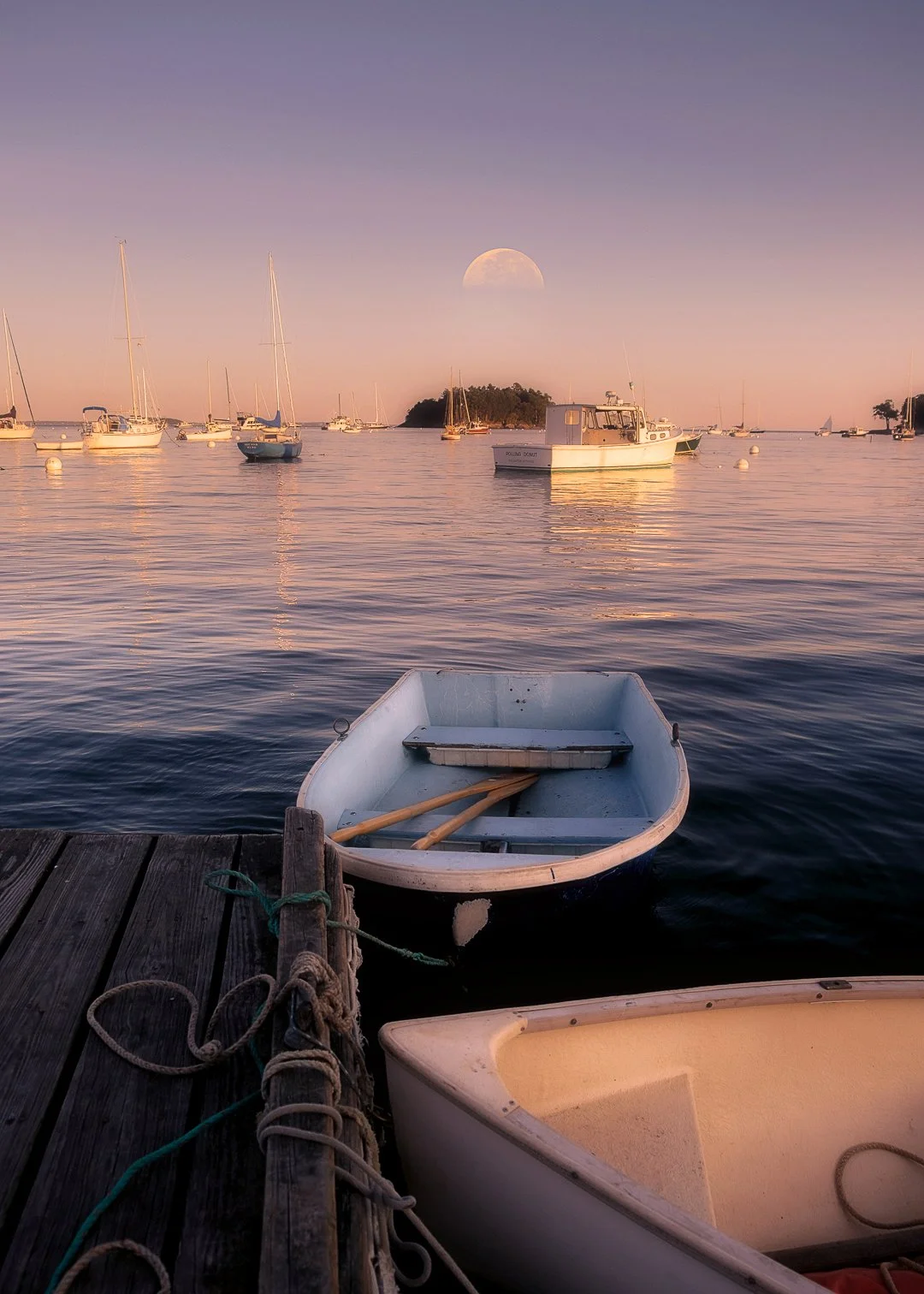 The moon rises over Curtis Island, Camden