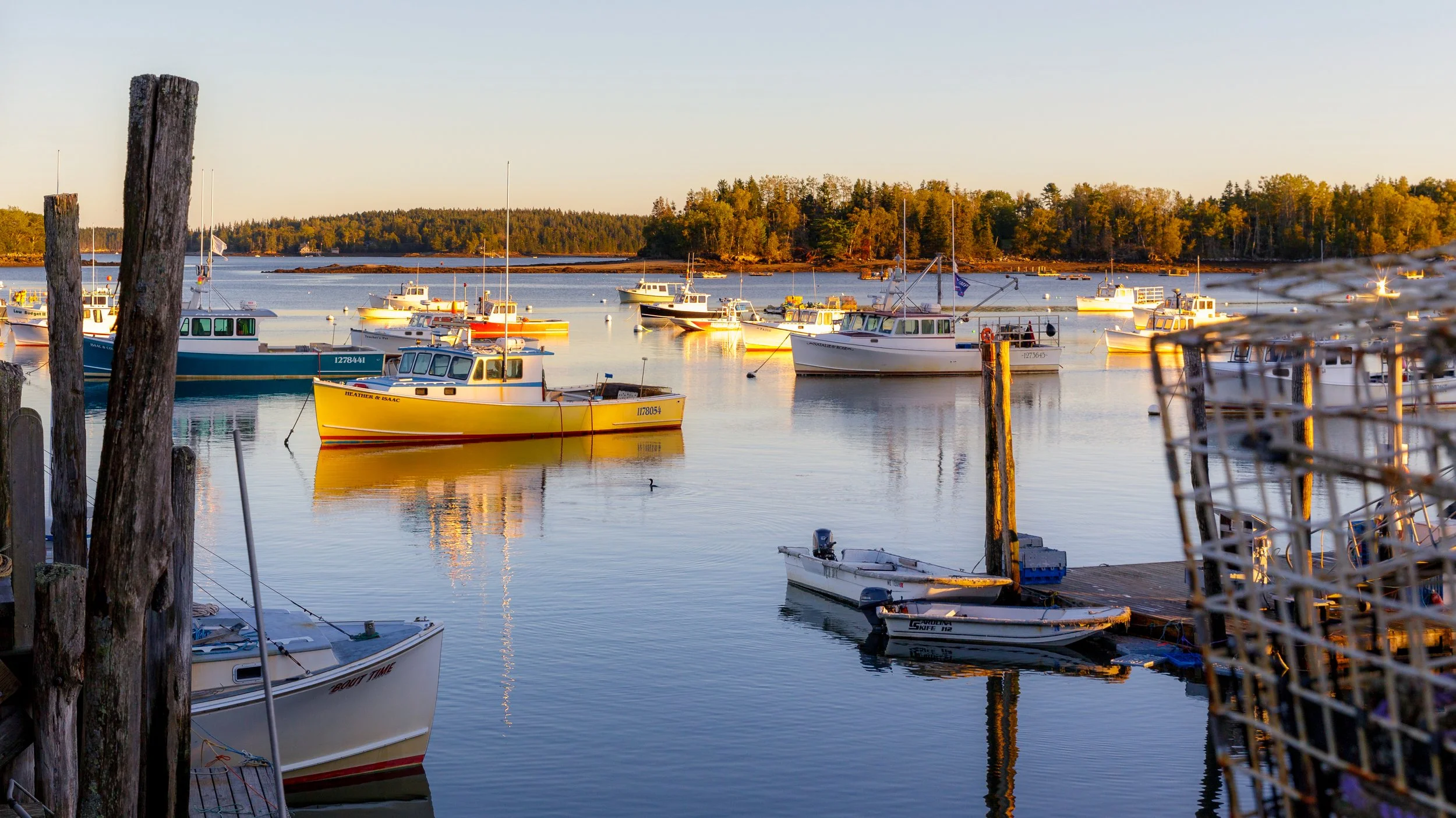 Friendship Harbor