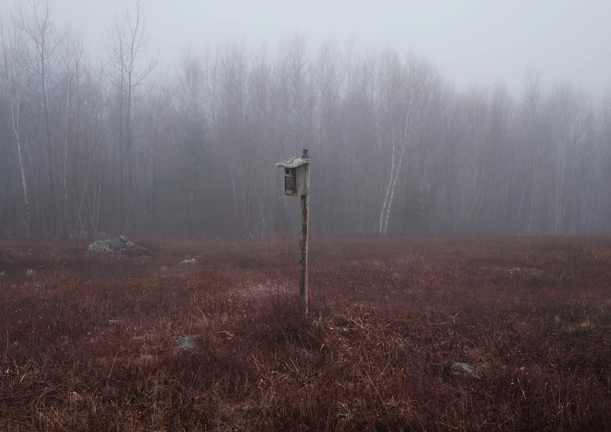 Bat house at Beach Hill trail in Rockport