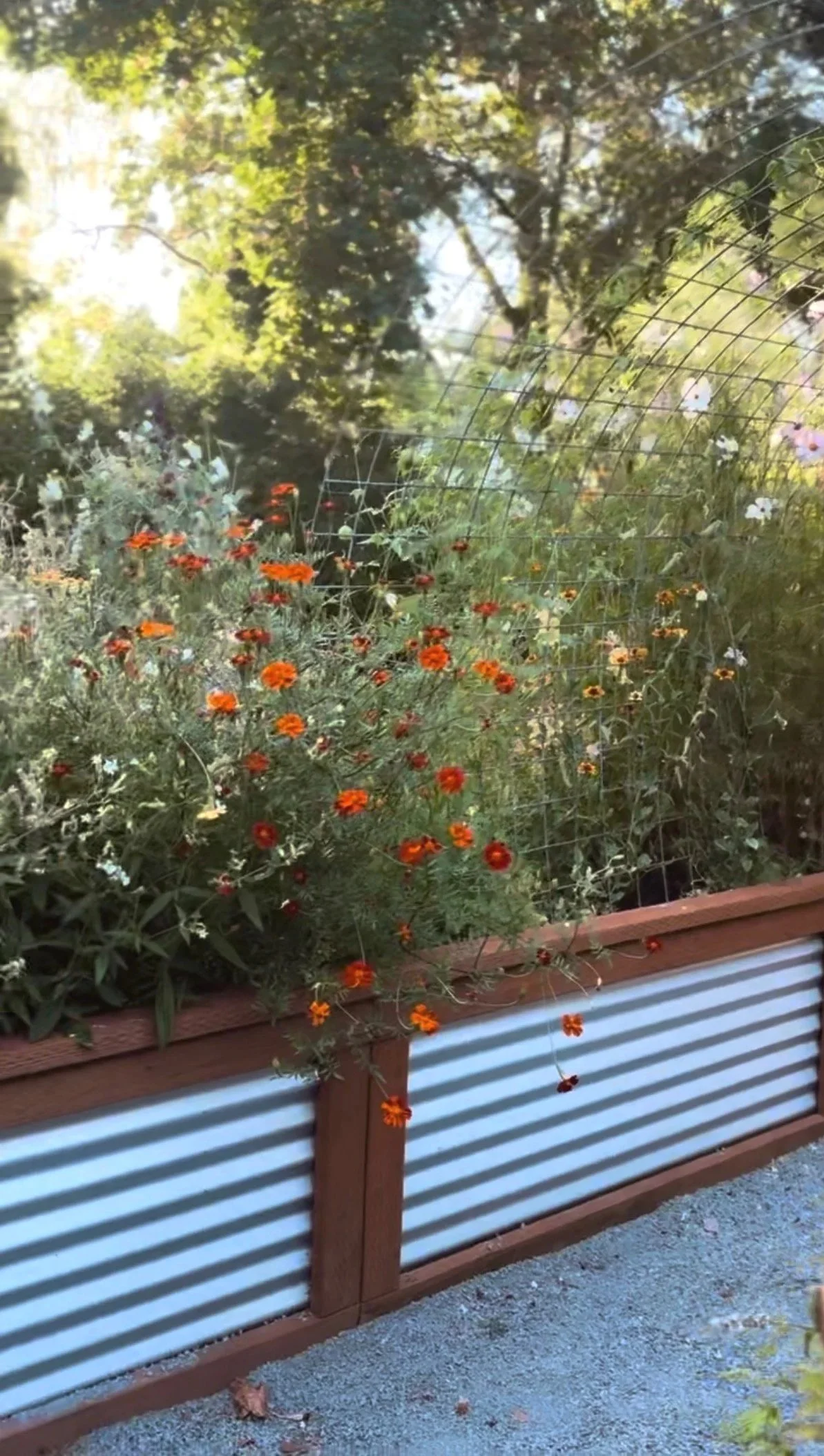 A Summer of Growing, Weddings &amp; What’s Coming Next