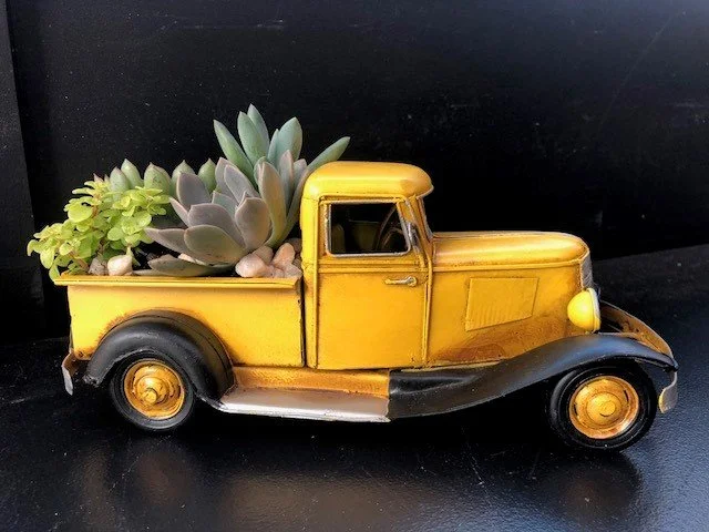 Avoiding craziness right about now - garden !